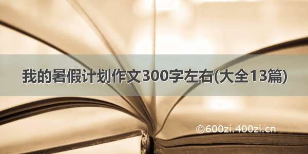 我的暑假计划作文300字左右(大全13篇)