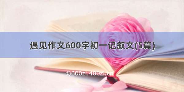 遇见作文600字初一记叙文(5篇)