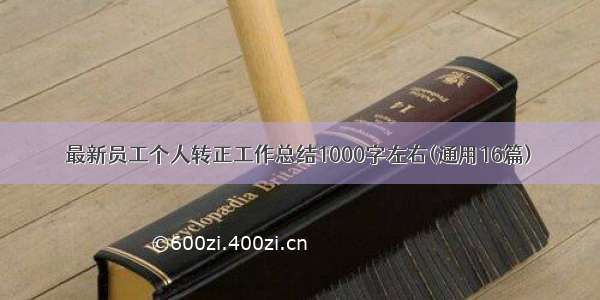 最新员工个人转正工作总结1000字左右(通用16篇)