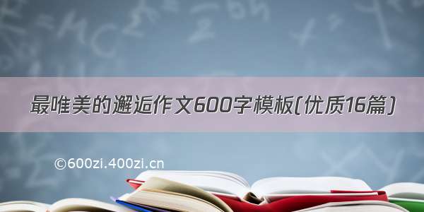 最唯美的邂逅作文600字模板(优质16篇)