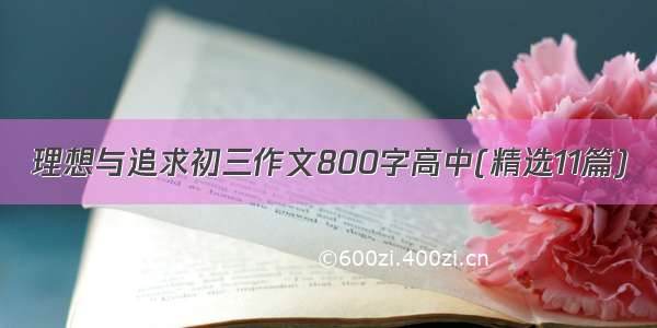 理想与追求初三作文800字高中(精选11篇)