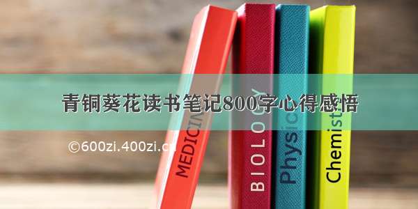 青铜葵花读书笔记800字心得感悟