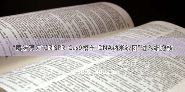 “魔法剪刀”CRISPR-Cas9搭车“DNA纳米纱团”进入细胞核