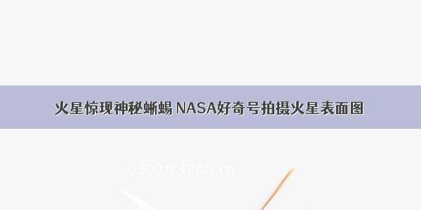 火星惊现神秘蜥蜴 NASA好奇号拍摄火星表面图