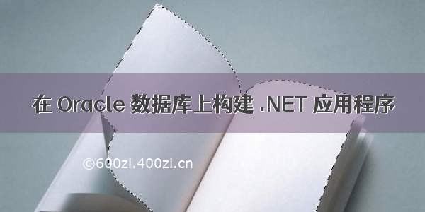 在 Oracle 数据库上构建 .NET 应用程序