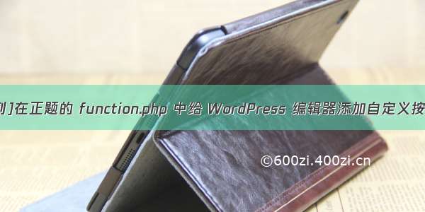 [WORDPRESS系列]在正题的 function.php 中给 WordPress 编辑器添加自定义按钮(Quicktags)