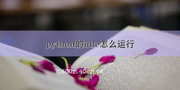 python的idle怎么运行