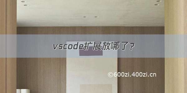 vscode扩展放哪了？