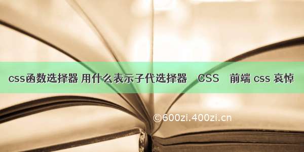 css函数选择器 用什么表示子代选择器 – CSS – 前端 css 哀悼