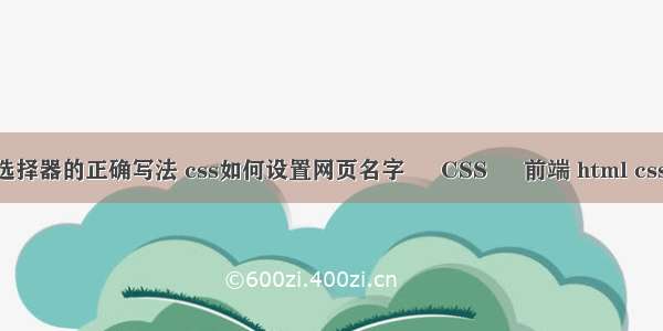 css3伪类选择器的正确写法 css如何设置网页名字 – CSS – 前端 html css 表单布局