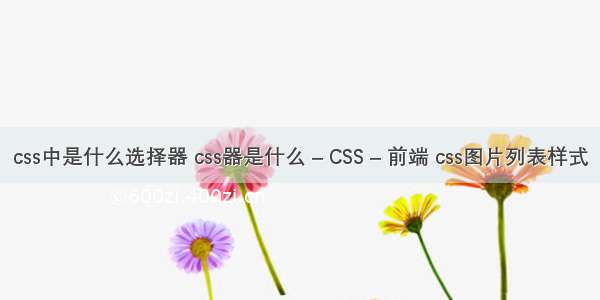 css中是什么选择器 css器是什么 – CSS – 前端 css图片列表样式