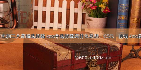 css的发展史和三大基础选择器 css中选择器是什么意思 – CSS – 前端 css设置文本框