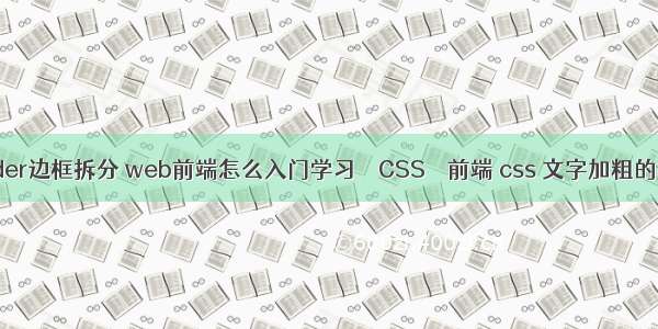 border边框拆分 web前端怎么入门学习 – CSS – 前端 css 文字加粗的样式