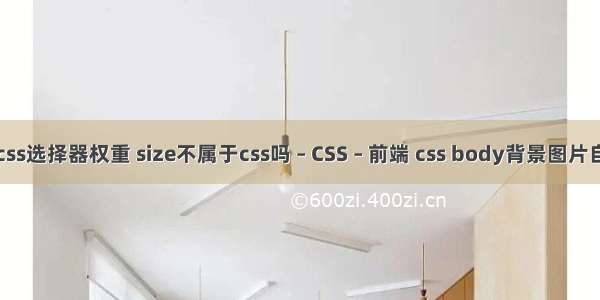 计算css选择器权重 size不属于css吗 – CSS – 前端 css body背景图片自适应