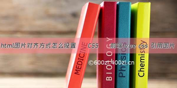 html图片对齐方式怎么设置 – CSS – 前端 vue css 引用图片