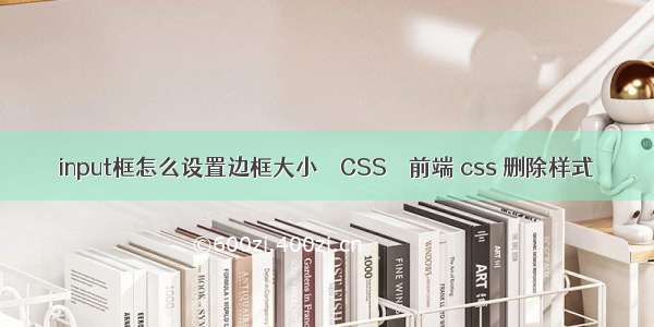 input框怎么设置边框大小 – CSS – 前端 css 删除样式