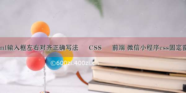 html输入框左右对齐正确写法 – CSS – 前端 微信小程序css固定窗口