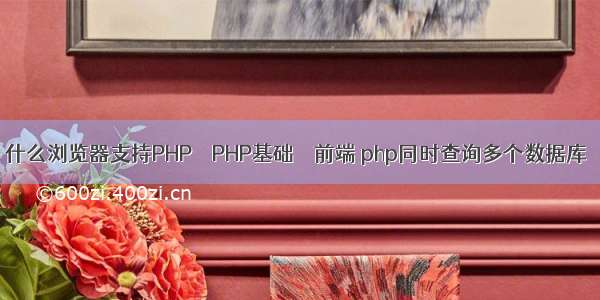 什么浏览器支持PHP – PHP基础 – 前端 php同时查询多个数据库