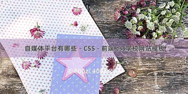 自媒体平台有哪些 – CSS – 前端 css学校网站模板