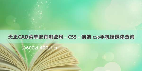 天正CAD菜单键有哪些啊 – CSS – 前端 css手机端媒体查询