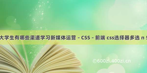 大学生有哪些渠道学习新媒体运营 – CSS – 前端 css选择器多选 n 5