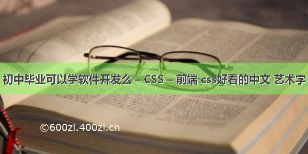 初中毕业可以学软件开发么 – CSS – 前端 css好看的中文 艺术字