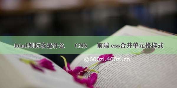 html列标签是什么 – CSS – 前端 css合并单元格样式