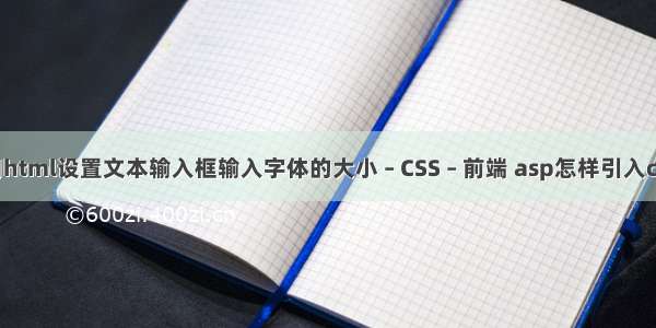 如何用html设置文本输入框输入字体的大小 – CSS – 前端 asp怎样引入css样式