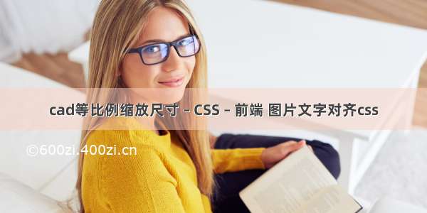 cad等比例缩放尺寸 – CSS – 前端 图片文字对齐css