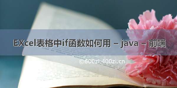 EXcel表格中if函数如何用 – java – 前端