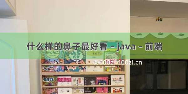 什么样的鼻子最好看 – java – 前端