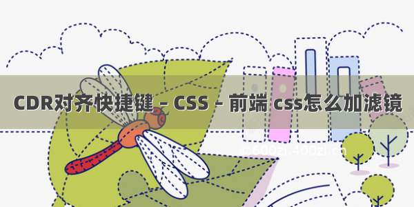 CDR对齐快捷键 – CSS – 前端 css怎么加滤镜