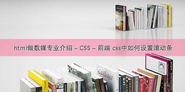 html做数媒专业介绍 – CSS – 前端 css中如何设置滚动条