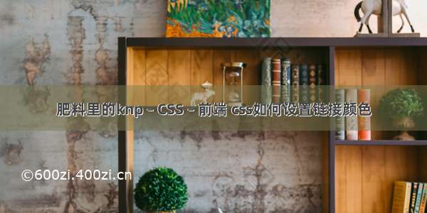 肥料里的knp – CSS – 前端 css如何设置链接颜色