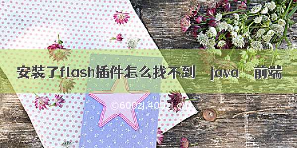 安装了flash插件怎么找不到 – java – 前端