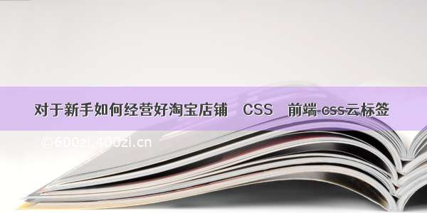 对于新手如何经营好淘宝店铺 – CSS – 前端 css云标签