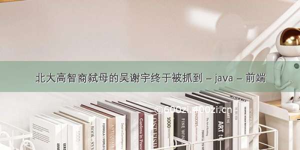 北大高智商弑母的吴谢宇终于被抓到 – java – 前端