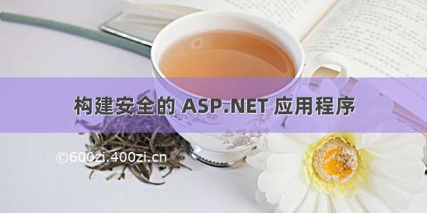 构建安全的 ASP.NET 应用程序