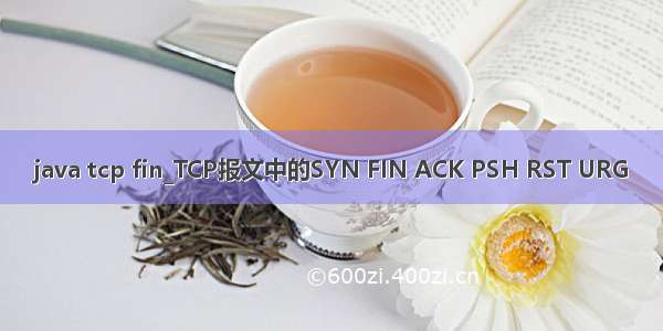 java tcp fin_TCP报文中的SYN FIN ACK PSH RST URG