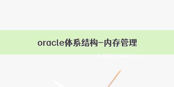 oracle体系结构-内存管理