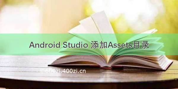 Android Studio 添加Assets目录