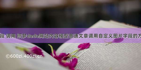 织梦 PHP 字段 调用 织梦dede网站内容模型普通文章调用自定义图片字段的方法(和调用...