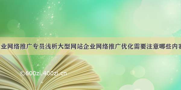 企业网络推广专员浅析大型网站企业网络推广优化需要注意哪些内容？