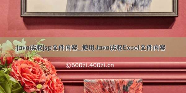 java读取jsp文件内容_使用Java读取Excel文件内容