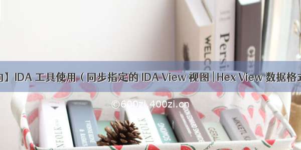 【Android 逆向】IDA 工具使用 ( 同步指定的 IDA View 视图 | Hex View 数据格式 | 过滤设置 )