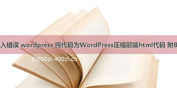 html导入错误 wordpress 纯代码为WordPress压缩前端html代码 附BUG修复