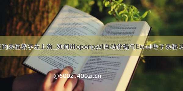 npoi生成的表格数字左上角_如何用openpyxl自动化编写Excel电子表格 进阶篇 下