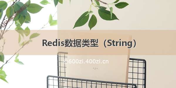 Redis数据类型（String）