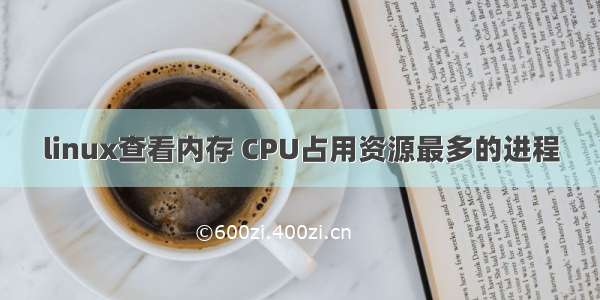 linux查看内存 CPU占用资源最多的进程