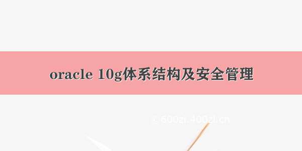 oracle 10g体系结构及安全管理